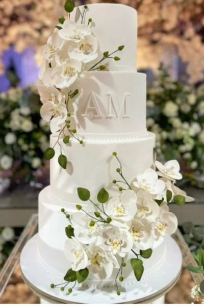 transferir-8-1-r2pucytwyjtkafzjzv3qs1rhr2djwwtlegiulp1c2g